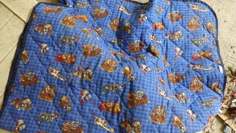 Photo from Friggin Vandals