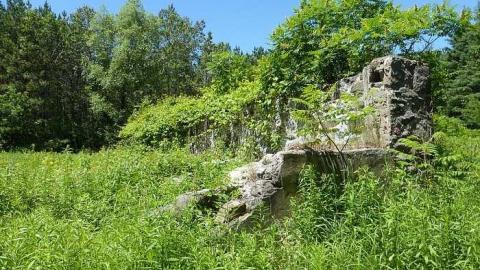 Photo from Friggin Vandals