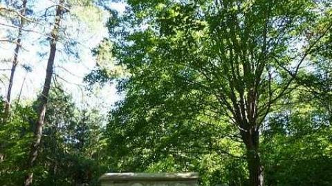 Speirs Cemetery - Centreville-Cemetery1.jpg