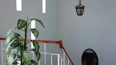 Coffins R Us '17 - DSC00832.jpg