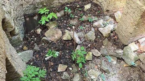 Lime Kiln July 2017 - Renfrew-Lime-Kiln8.jpg