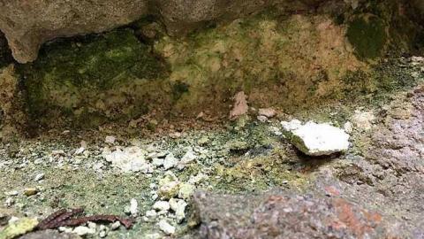 Lime Kiln July 2017 - Renfrew-Lime-Kiln9.jpg