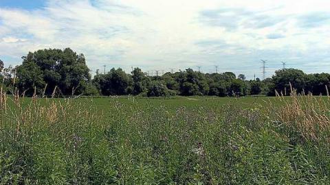 Highway Home - IMG_1266 edit.jpg