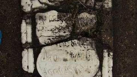 To Bloom Forever In The Sky - Ebenezer-P.-Methodist-Cemetery29.jpg