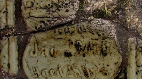 To Bloom Forever In The Sky - Ebenezer-P.-Methodist-Cemetery4.jpg