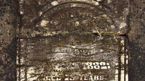 To Bloom Forever In The Sky - Ebenezer-P.-Methodist-Cemetery33.jpg