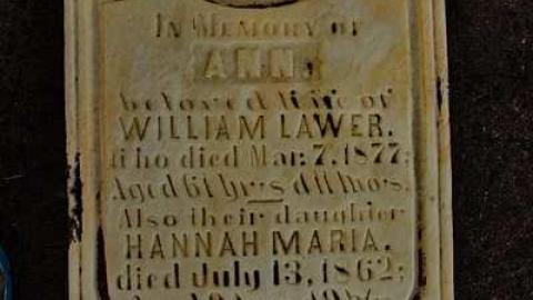 To Bloom Forever In The Sky - Ebenezer-P.-Methodist-Cemetery8.jpg