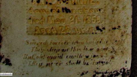 To Bloom Forever In The Sky - Ebenezer-P.-Methodist-Cemetery10.jpg