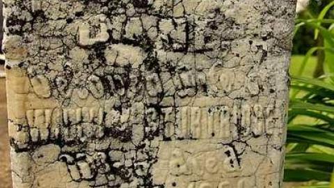 To Bloom Forever In The Sky - Ebenezer-P.-Methodist-Cemetery16.jpg