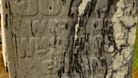 To Bloom Forever In The Sky - Ebenezer-P.-Methodist-Cemetery43.jpg