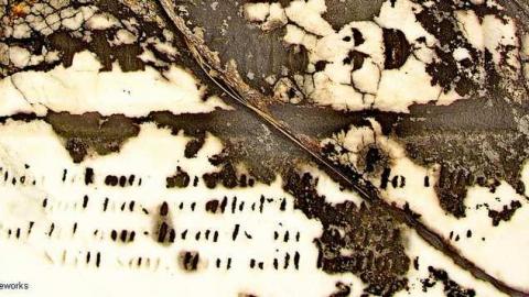 To Bloom Forever In The Sky - Ebenezer-P.-Methodist-Cemetery22.jpg