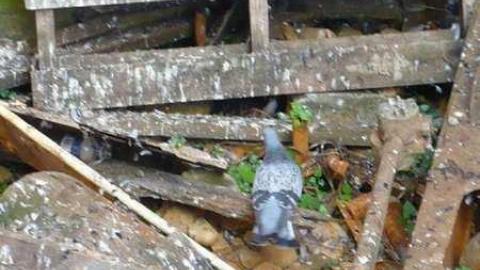 silos - Beeton-Silos15.jpg