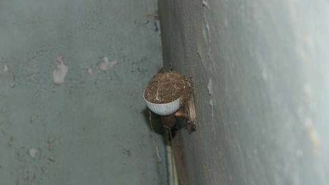 Laflamme Construction Inc. - q-EllenOAPlocadd 3llsly 107.jpg