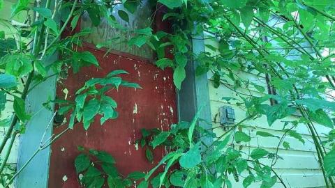 Photo from July 2017