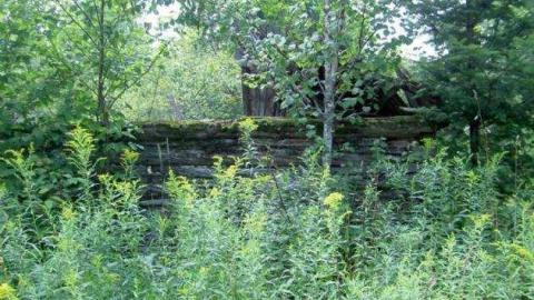 Wilbur where are you? - Wilbur-(ghost-town)-on-the-KP1.jpg