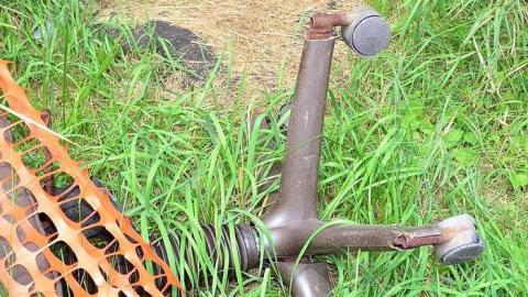 July 2017 - McCormicks-Biscuit-Factory871.jpg