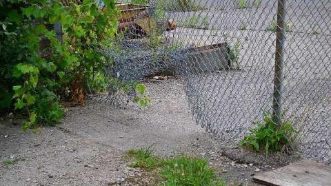 July 2017 - McCormicks-Biscuit-Factory343.jpg