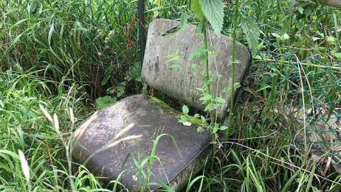 July 2017 - Farm-House17.jpg