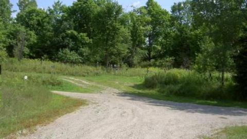 Wilbur where are you? - Wilbur-(ghost-town)-on-the-KP4.jpg