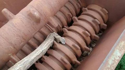 Photo from Intimidating