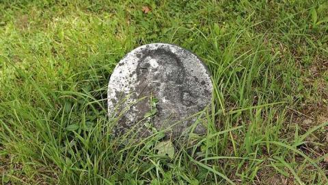 Old Mennonite Cemetery - Zion-Mennonite-Cemetery2.jpg