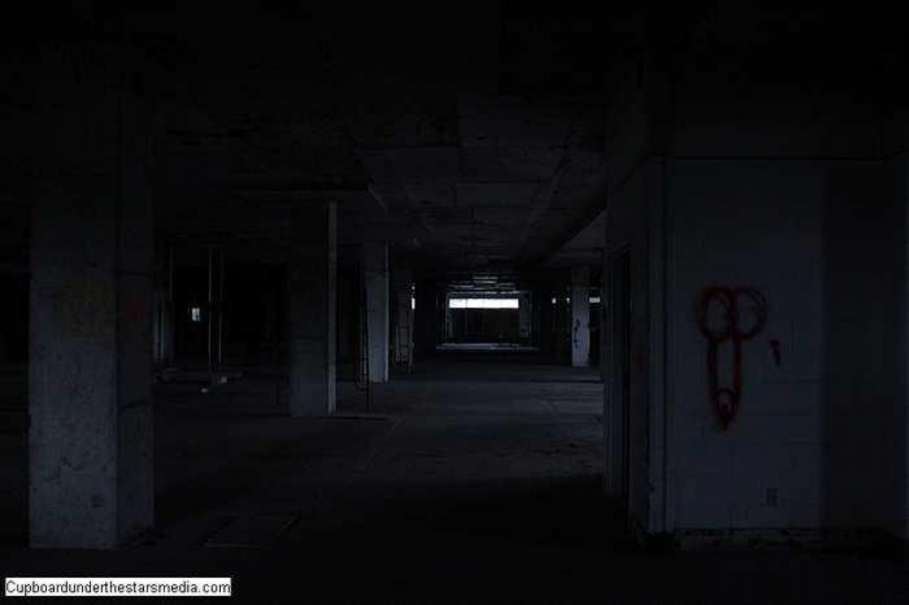 Dead Birds - St.-Josephs-Hospital-Sudbury12.jpg