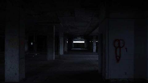 Dead Birds cover photo