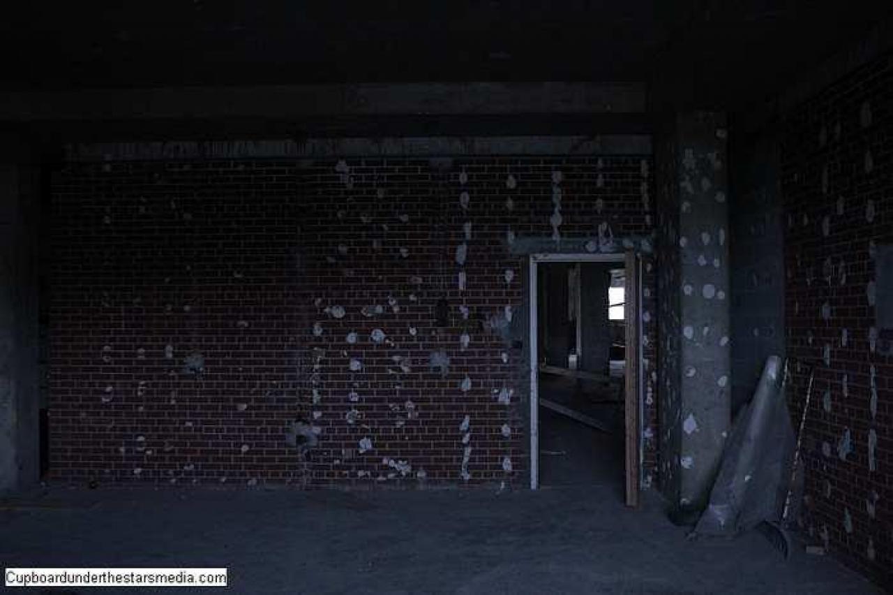 Dead Birds - St.-Josephs-Hospital-Sudbury19.jpg