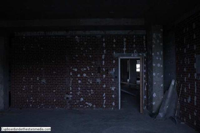 Dead Birds - St.-Josephs-Hospital-Sudbury19.jpg