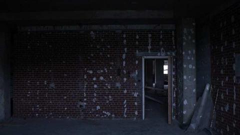 Dead Birds - St.-Josephs-Hospital-Sudbury19.jpg