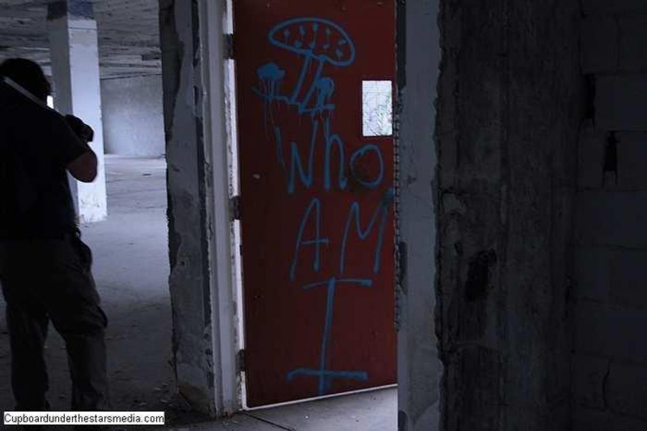 Dead Birds - St.-Josephs-Hospital-Sudbury6.jpg