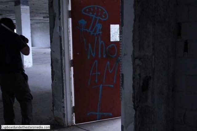 Dead Birds - St.-Josephs-Hospital-Sudbury6.jpg