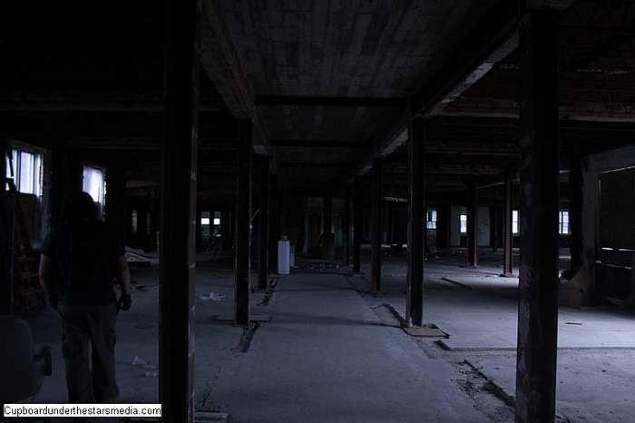 Dead Birds - St.-Josephs-Hospital-Sudbury8.jpg