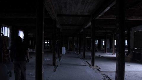 Dead Birds - St.-Josephs-Hospital-Sudbury8.jpg