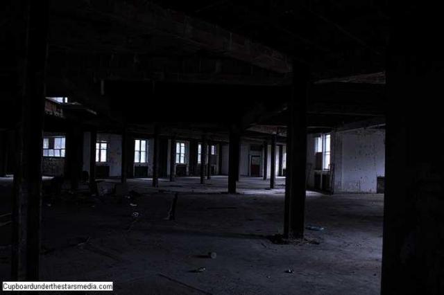 Dead Birds - St.-Josephs-Hospital-Sudbury16.jpg