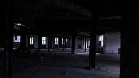 Dead Birds - St.-Josephs-Hospital-Sudbury16.jpg