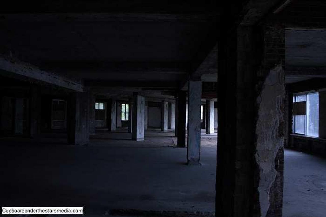 Dead Birds - St.-Josephs-Hospital-Sudbury17.jpg