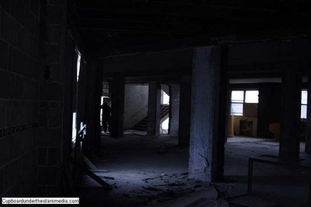 Dead Birds - St.-Josephs-Hospital-Sudbury10.jpg