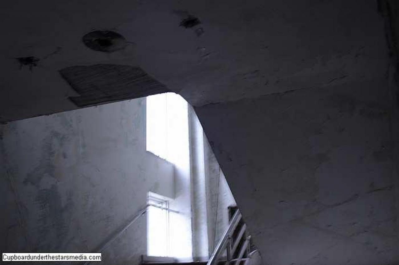 Dead Birds - St.-Josephs-Hospital-Sudbury18.jpg