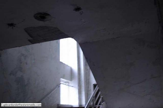 Dead Birds - St.-Josephs-Hospital-Sudbury18.jpg