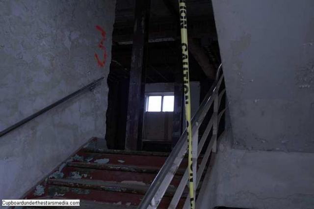 Dead Birds - St.-Josephs-Hospital-Sudbury11.jpg