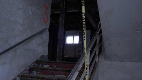 Dead Birds - St.-Josephs-Hospital-Sudbury11.jpg