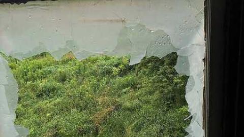 July 2017/Returned May 25th - Latched-Into-Darkness93.jpg