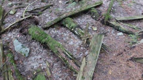 July 2017 - Bethel-Methodist-Church17.jpg