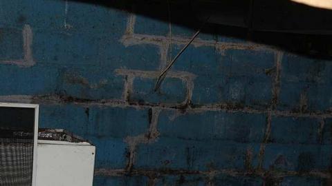 Ruskis - IMG_4628.jpg