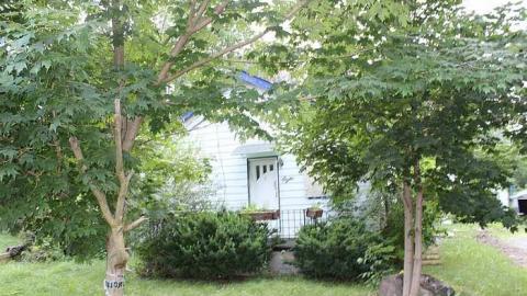 Ruskis - IMG_4678.jpg