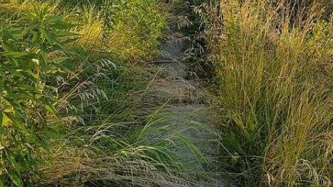 July 2017 - 20170719_191209(0).jpg