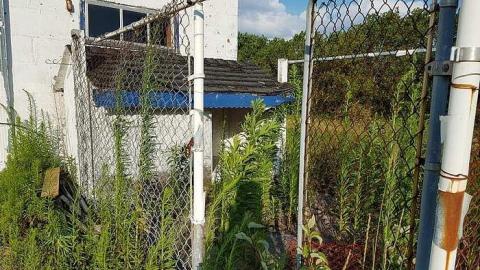 July 2017 - 20170719_190650.jpg