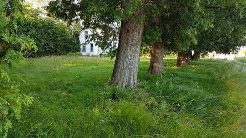 July 2017 - 20170719_191304(0).jpg