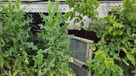 July 2017 - Another-on-Anderson11.jpg